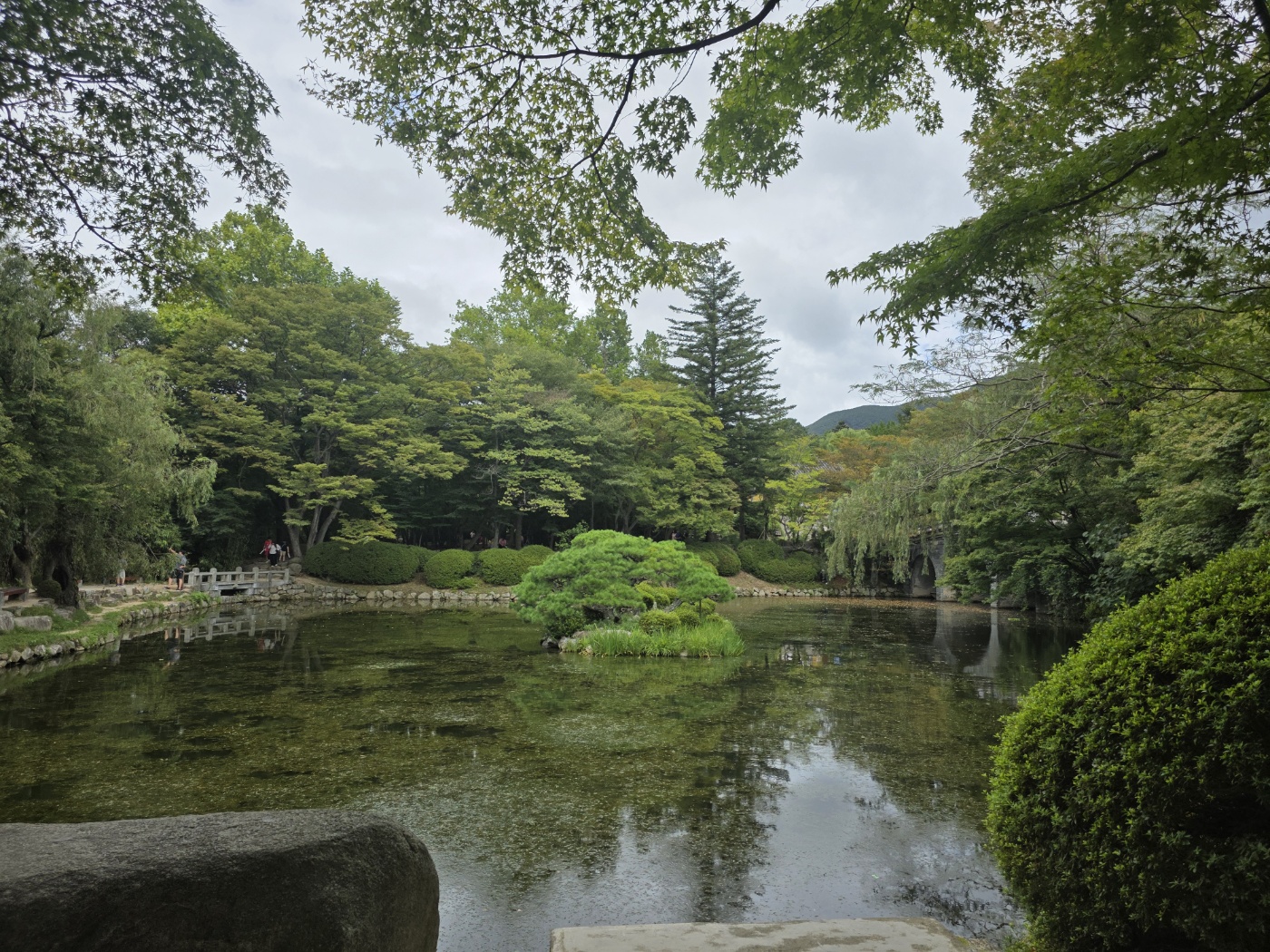 5c59237bb37dcc7308a4f1f3779f1e01_1758502