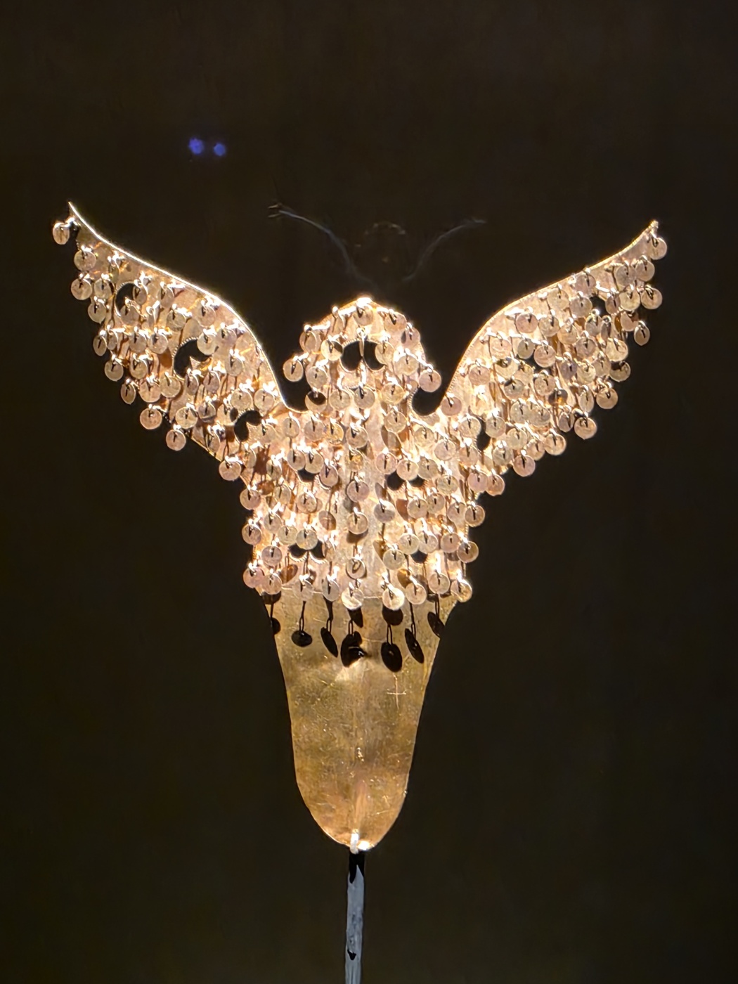 5c59237bb37dcc7308a4f1f3779f1e01_1758502