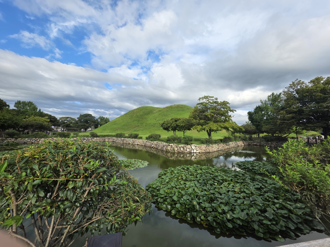 5c59237bb37dcc7308a4f1f3779f1e01_1758503