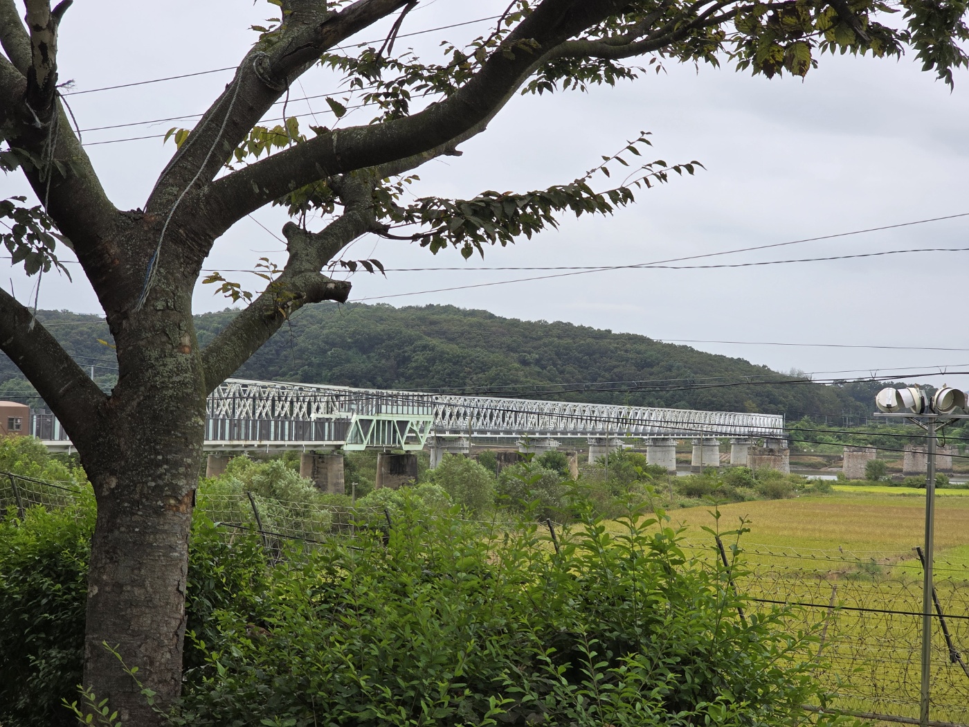 a8524c317ae55758bf97935fb0fef166_1758267