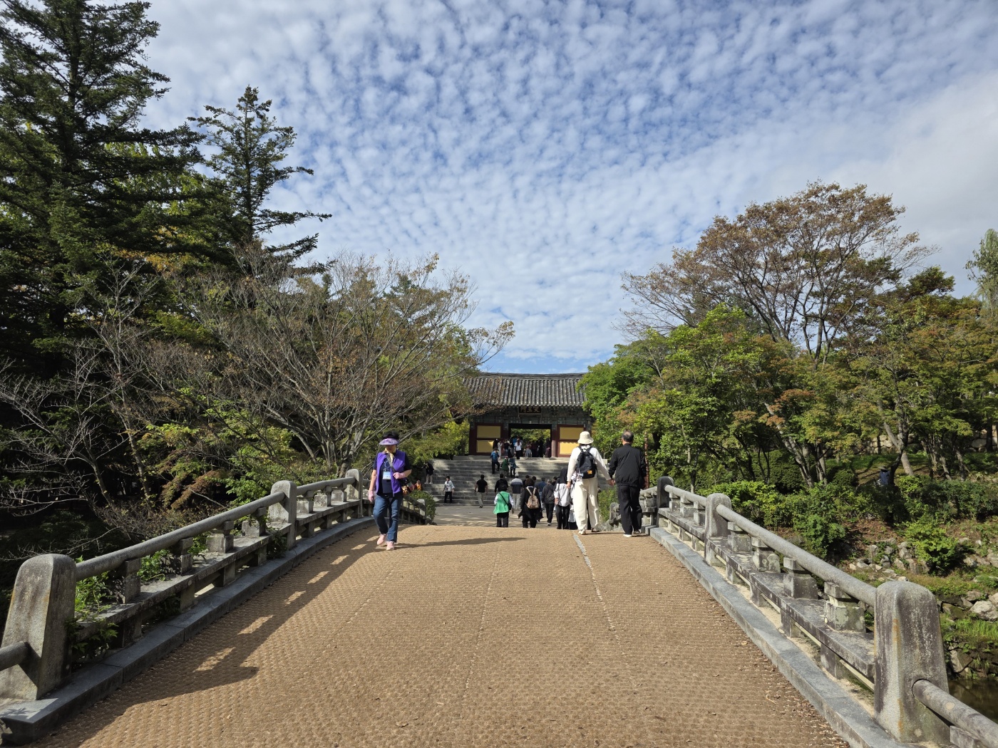 872089374bcb9036f98533ef571a8e9b_1760688