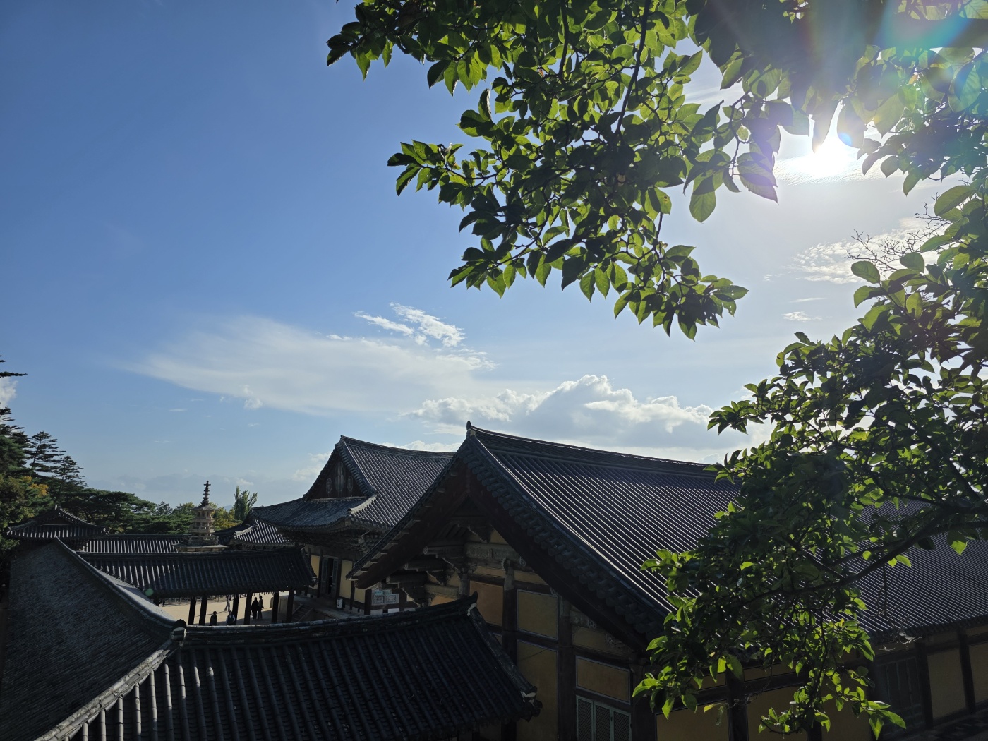 872089374bcb9036f98533ef571a8e9b_1760688