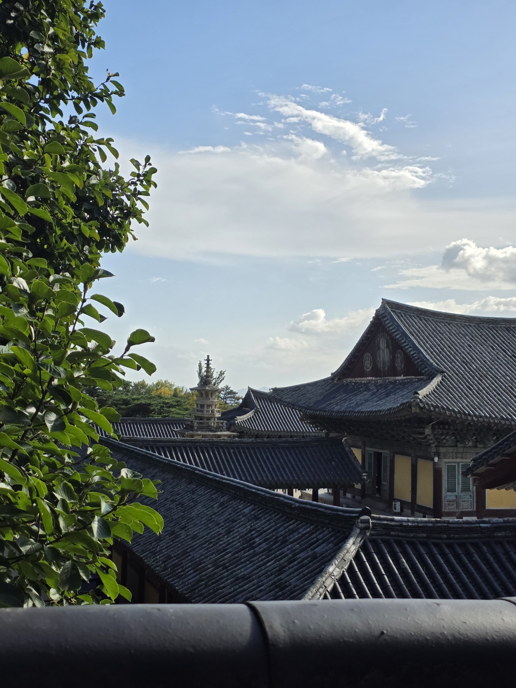 872089374bcb9036f98533ef571a8e9b_1760688