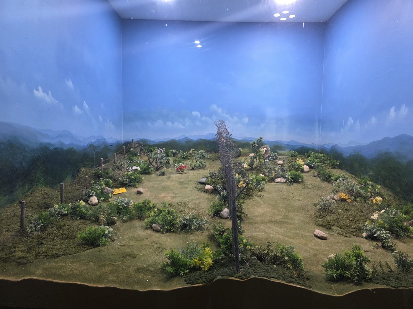 b60fea73b53d4449d3a4f1a6a5f43c82_1760855