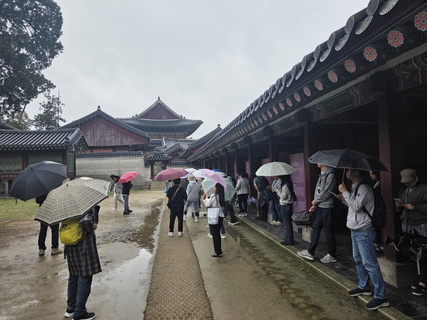 d71096781fb663f1ac81c704c87da71a_1760237