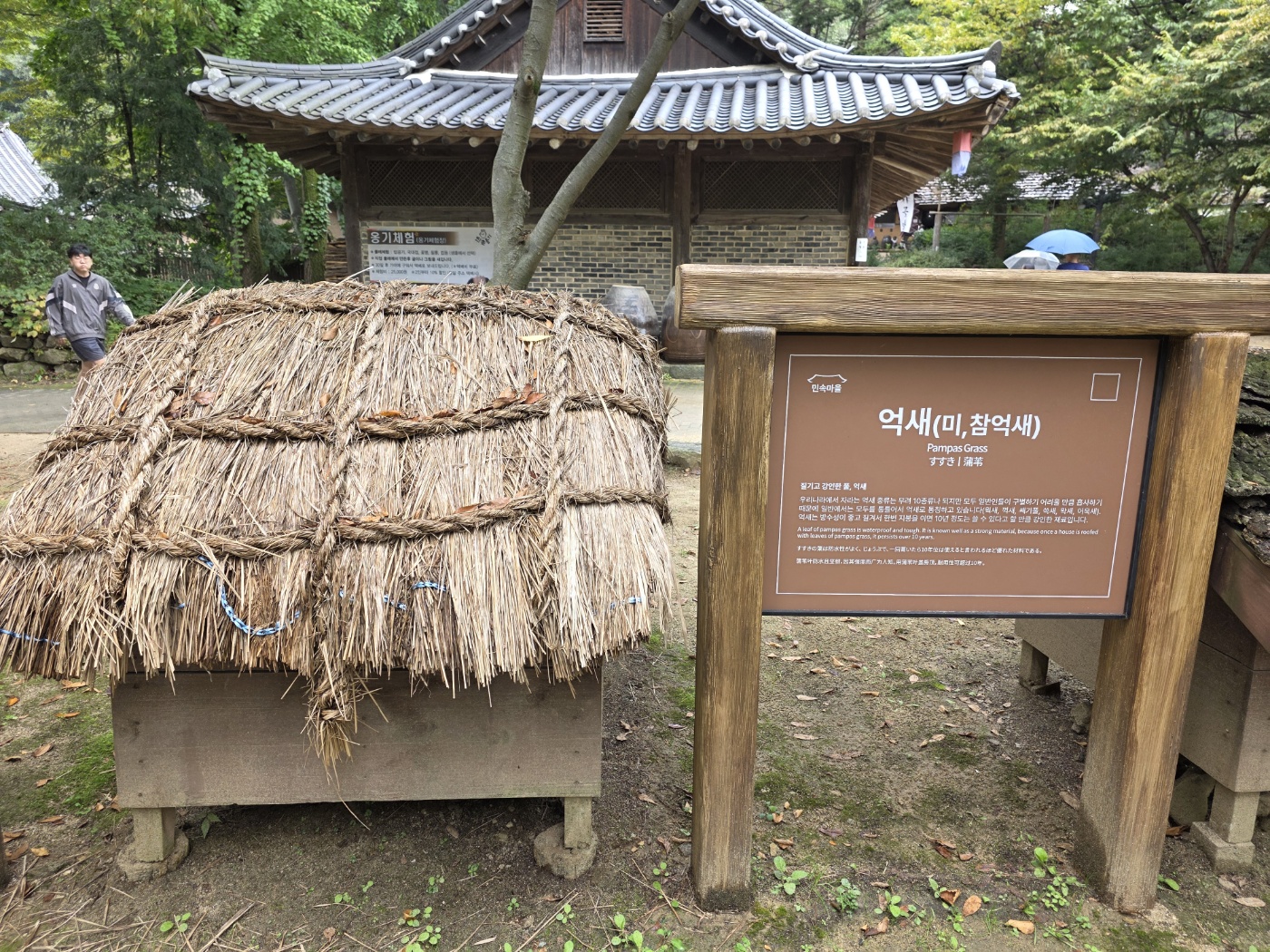 d71096781fb663f1ac81c704c87da71a_1760259