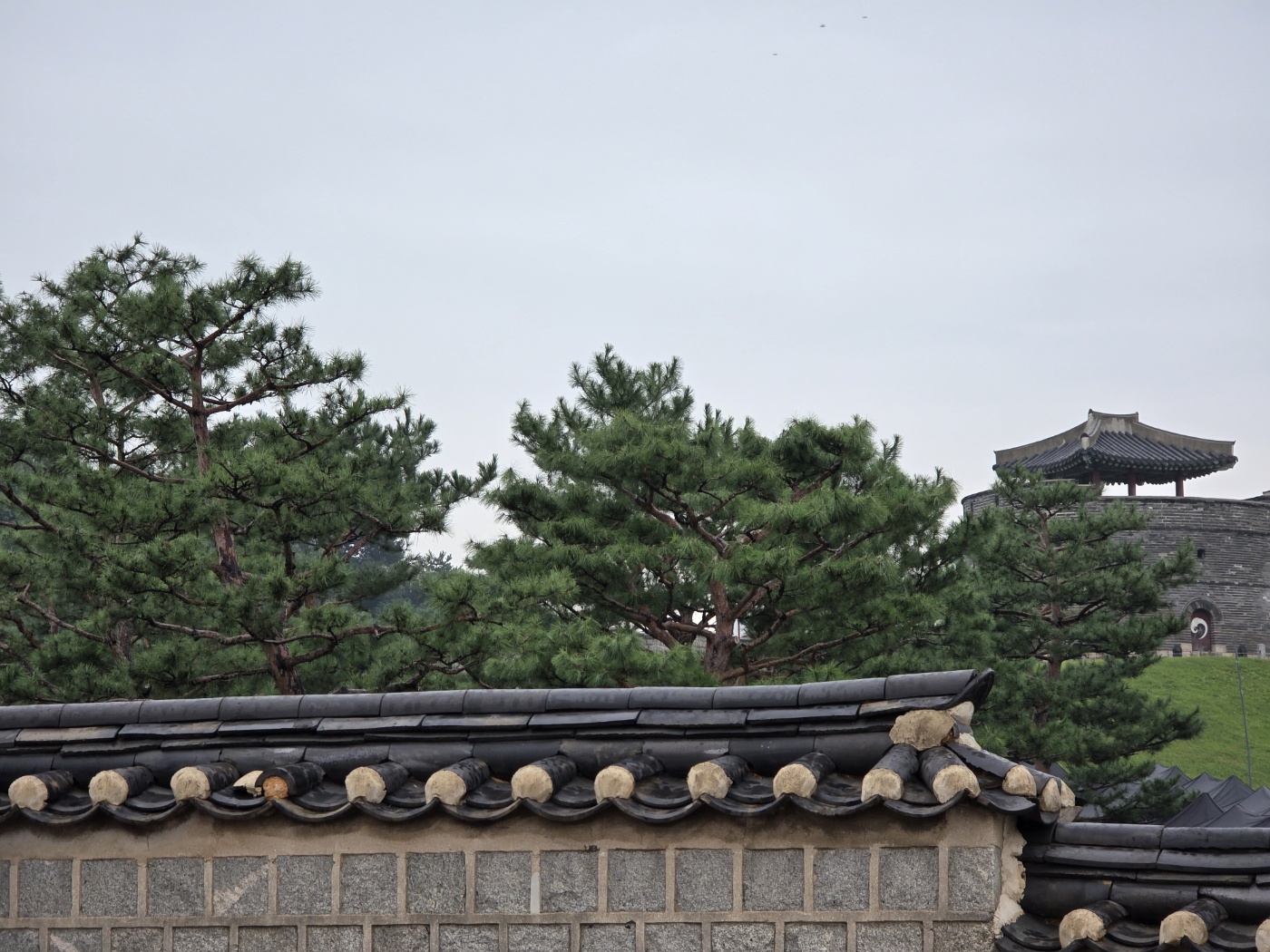 d71096781fb663f1ac81c704c87da71a_1760259