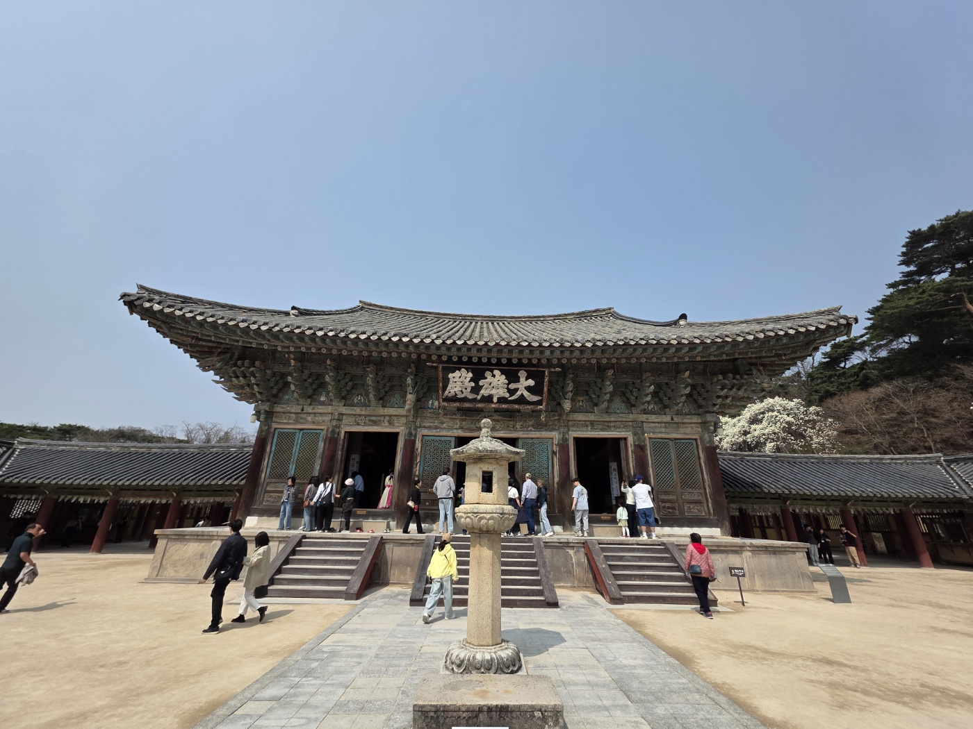 dd5a2996e1e6798adb0c777d1a448de6_1774751