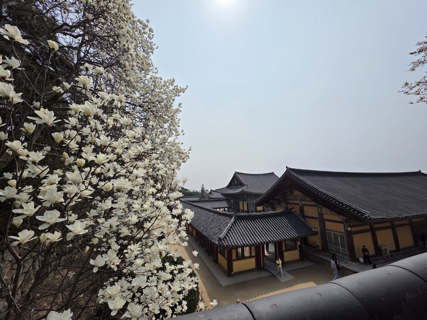 dd5a2996e1e6798adb0c777d1a448de6_1774751