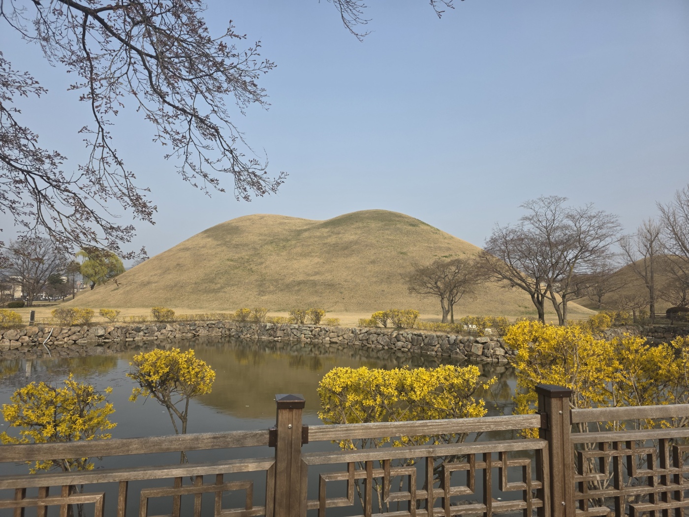 dd5a2996e1e6798adb0c777d1a448de6_1774751