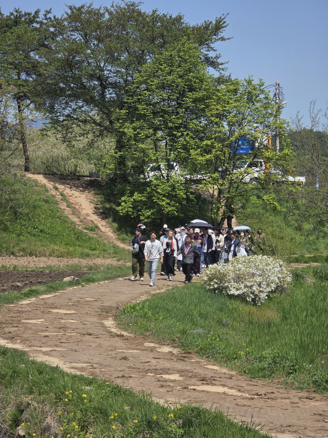 b87ac958acf7da1f59838bfec1622fd2_1777023