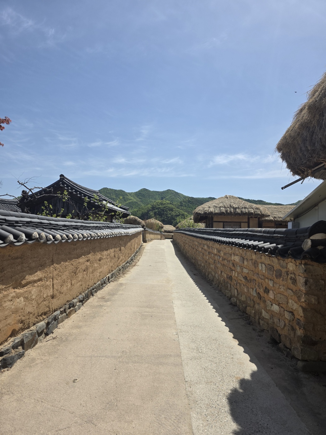 b87ac958acf7da1f59838bfec1622fd2_1777023