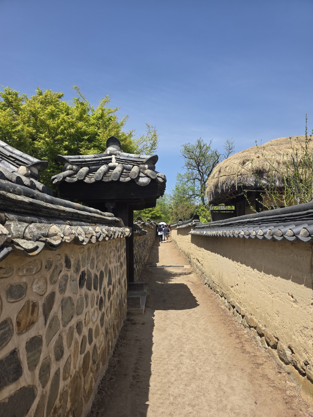 b87ac958acf7da1f59838bfec1622fd2_1777023