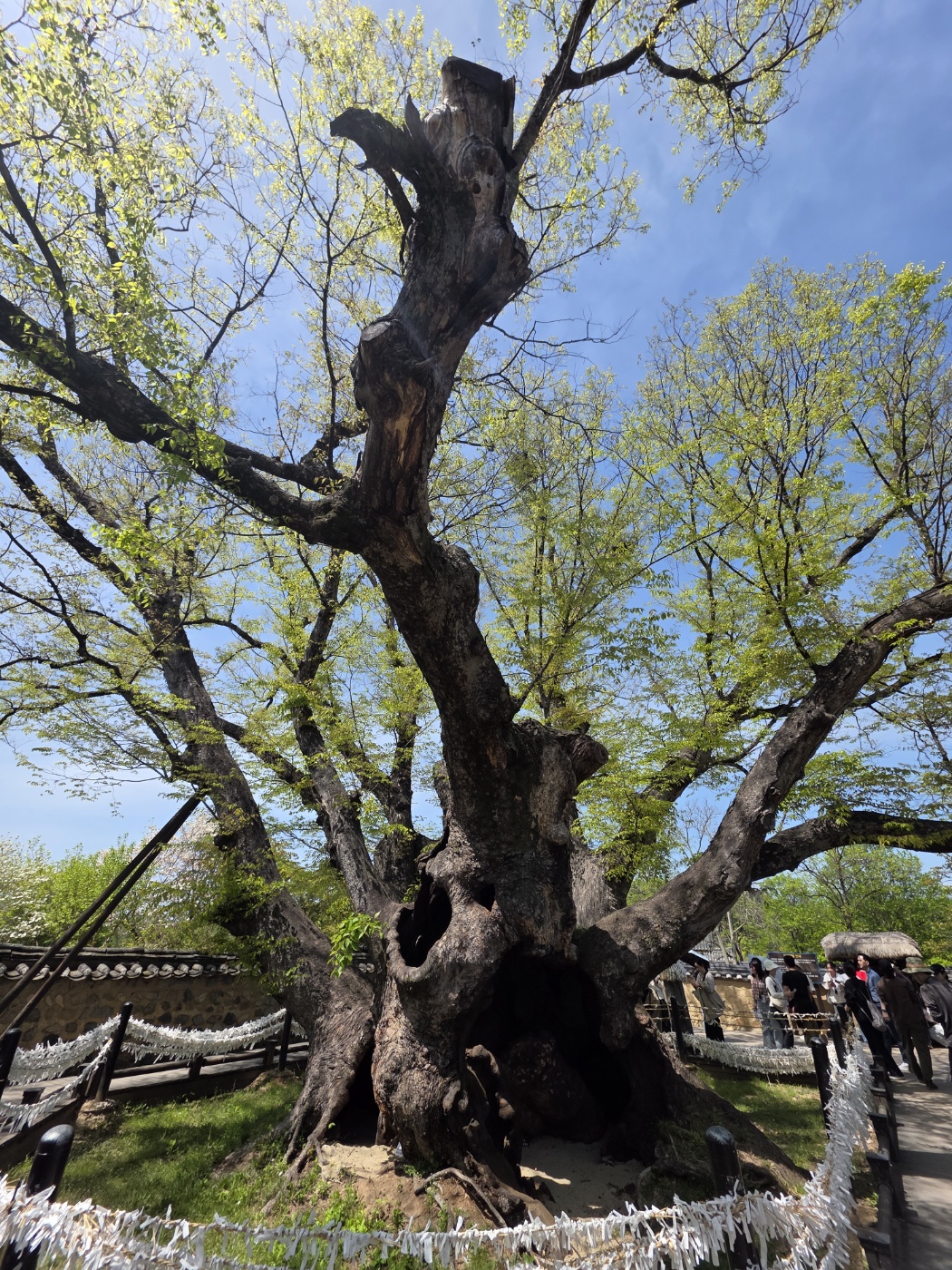 b87ac958acf7da1f59838bfec1622fd2_1777023