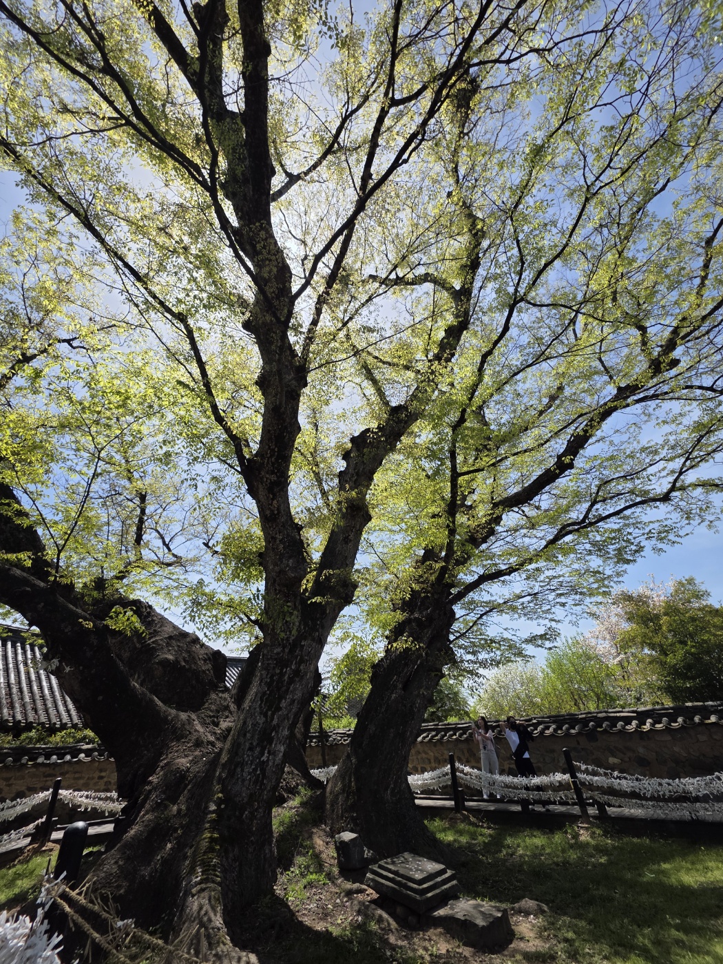 b87ac958acf7da1f59838bfec1622fd2_1777023