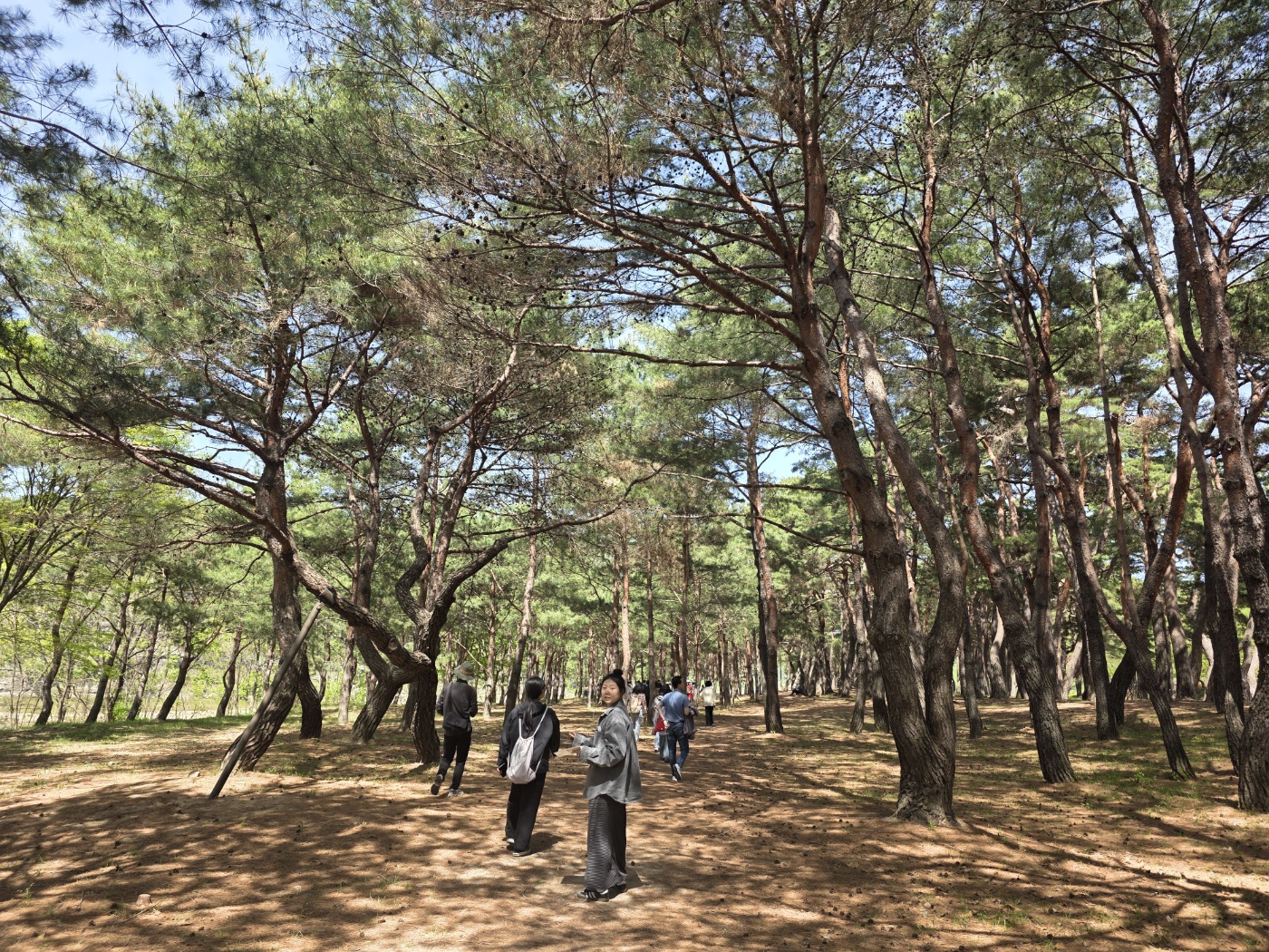 b87ac958acf7da1f59838bfec1622fd2_1777023