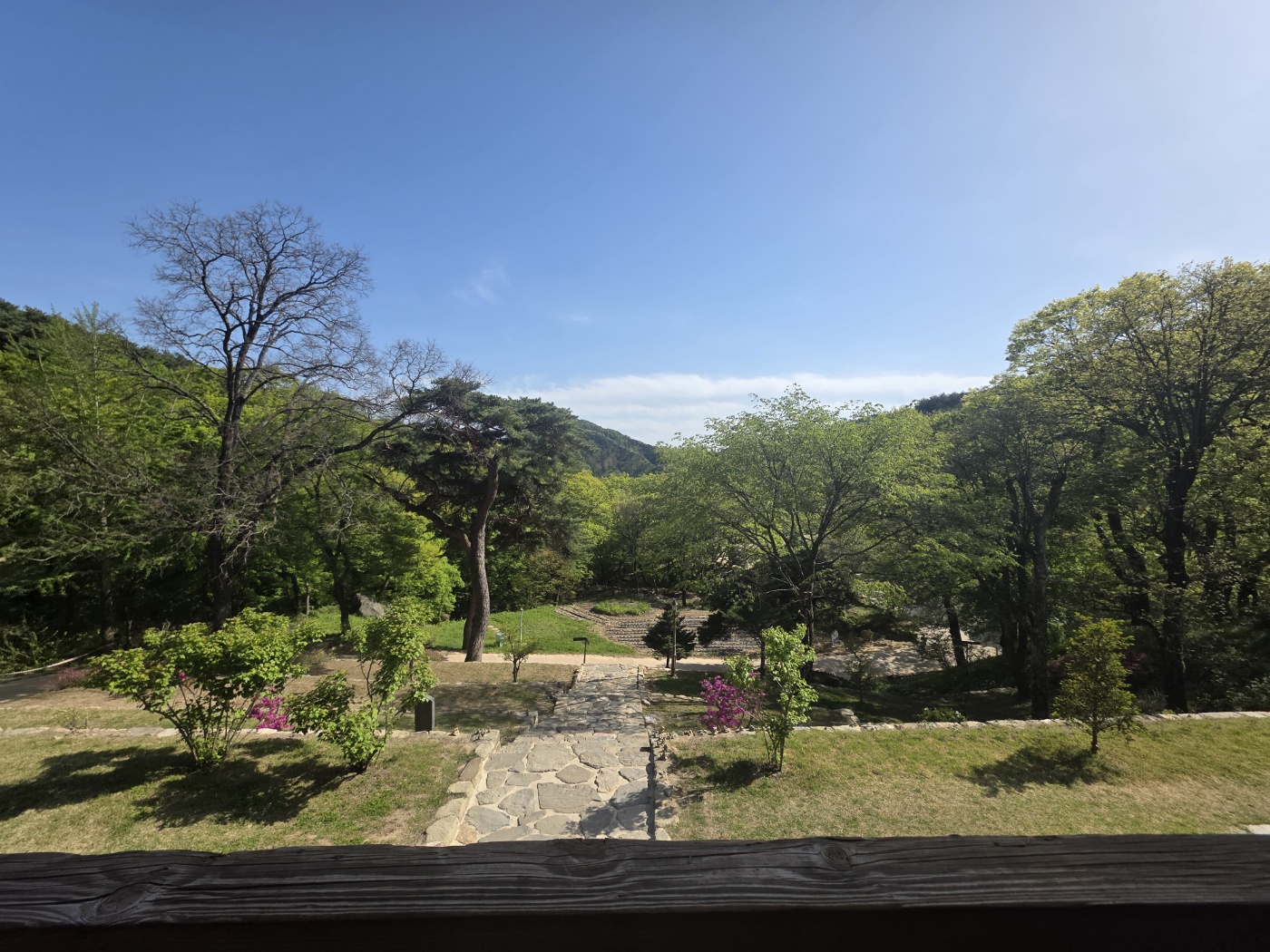 b87ac958acf7da1f59838bfec1622fd2_1777023