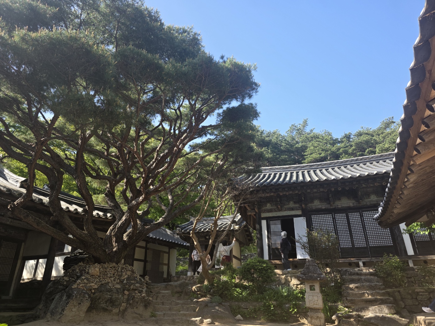 b87ac958acf7da1f59838bfec1622fd2_1777023