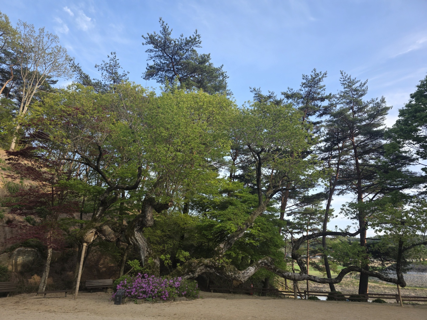 b87ac958acf7da1f59838bfec1622fd2_1777023